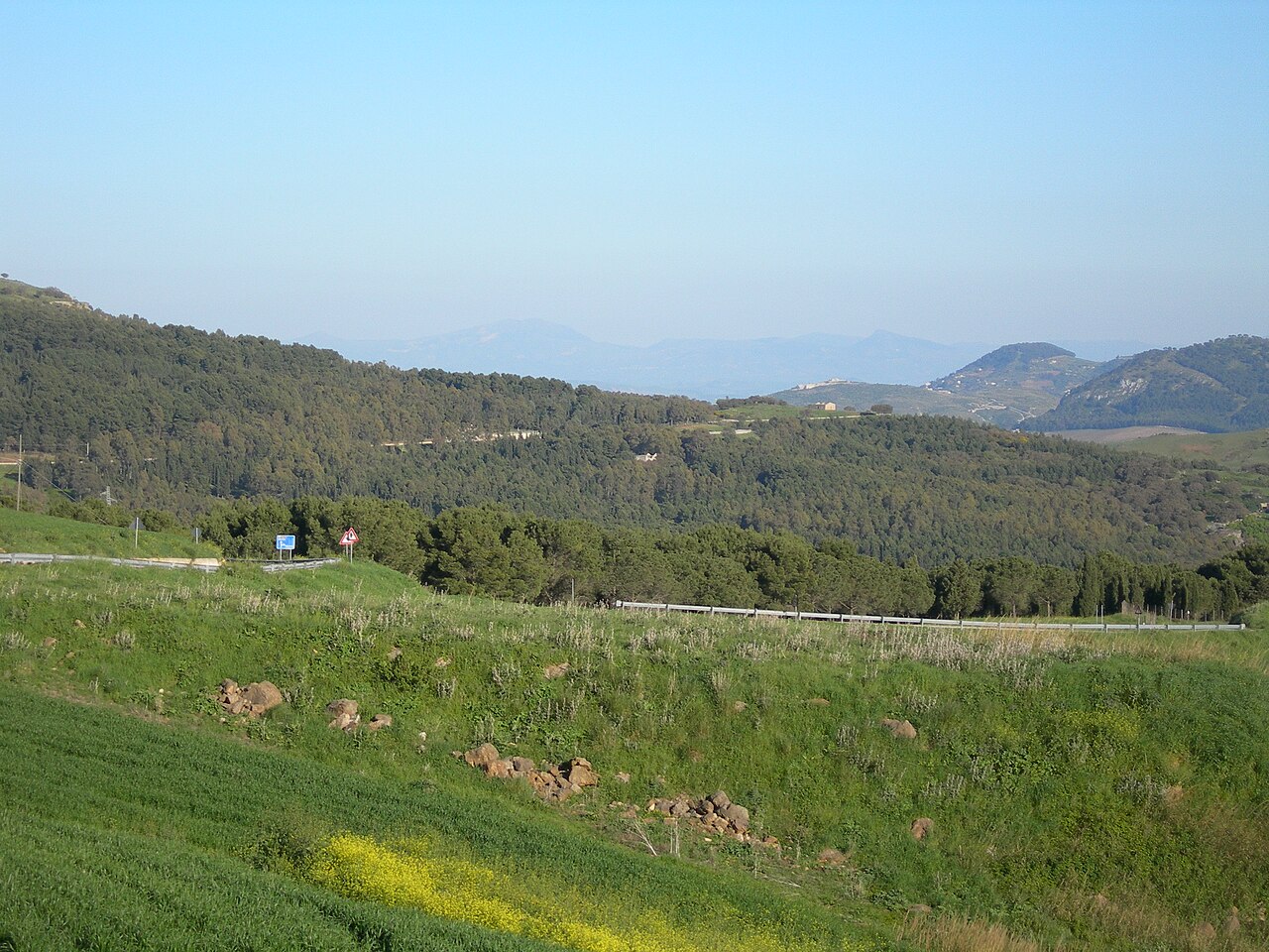 Bosco di Scorace