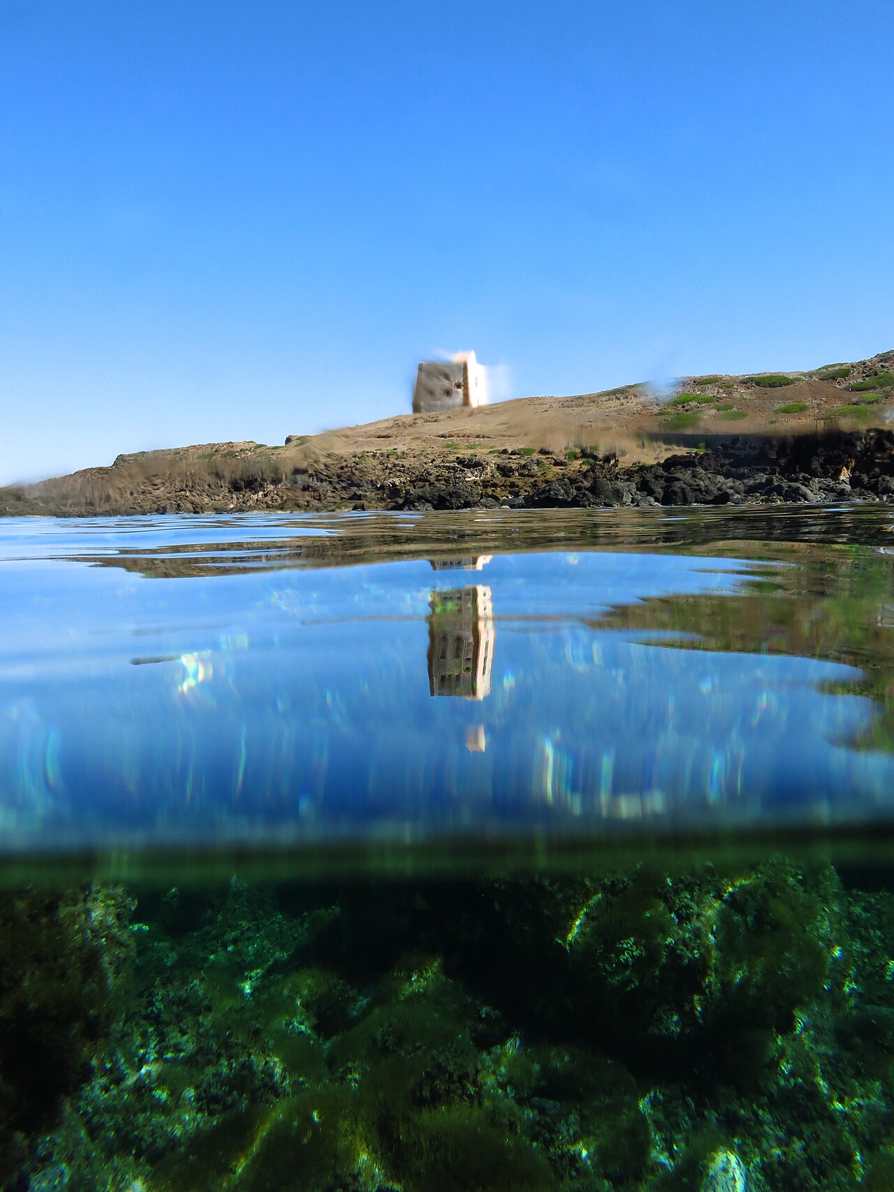 Ustica